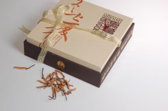 冬虫夏草纸盒包装