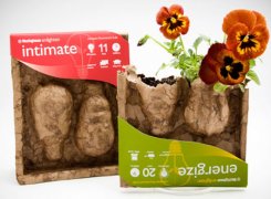 制造业巨头颁布全球可持续包装新标准