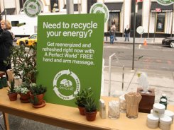 “绿色包装”发展的四个要素